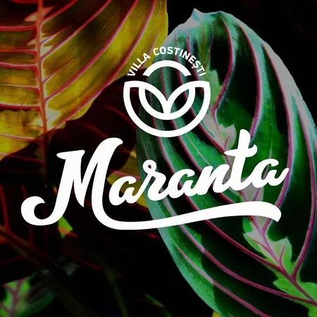 Guest house Casa Maranta *